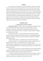 Organizacinės struktūros atnaujinimas 3 puslapis