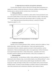 Organizacinės struktūros atnaujinimas 6 puslapis