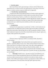 Organizacinės struktūros atnaujinimas 7 puslapis