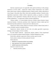 Organizacinės valdymo struktūros 2 puslapis