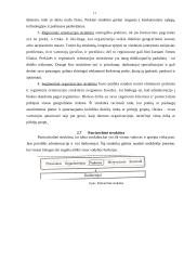 Organizacinės valdymo struktūros 11 puslapis