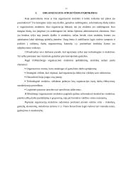 Organizacinės valdymo struktūros 12 puslapis