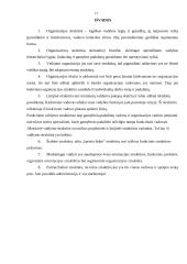 Organizacinės valdymo struktūros 13 puslapis