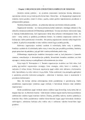 Organizacinės valdymo struktūros 3 puslapis