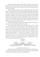 Organizacinės valdymo struktūros 6 puslapis