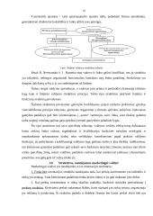 Organizacinės valdymo struktūros 10 puslapis