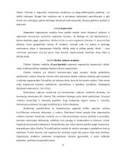 Organizacinių valdymo struktūrų pritaikymas šiuolaikinio verslo poreikiams 10 puslapis