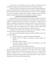 Organizacinių valdymo struktūrų pritaikymas šiuolaikinio verslo poreikiams 11 puslapis