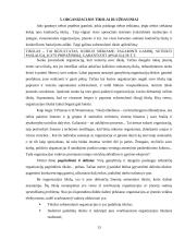 Organizacinių valdymo struktūrų pritaikymas šiuolaikinio verslo poreikiams 12 puslapis