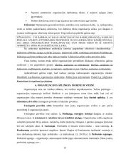 Organizacinių valdymo struktūrų pritaikymas šiuolaikinio verslo poreikiams 13 puslapis