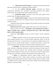 Organizacinių valdymo struktūrų pritaikymas šiuolaikinio verslo poreikiams 14 puslapis