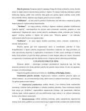 Organizacinių valdymo struktūrų pritaikymas šiuolaikinio verslo poreikiams 16 puslapis