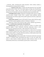 Organizacinių valdymo struktūrų pritaikymas šiuolaikinio verslo poreikiams 17 puslapis