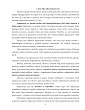Organizacinių valdymo struktūrų pritaikymas šiuolaikinio verslo poreikiams 3 puslapis