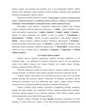 Organizacinių valdymo struktūrų pritaikymas šiuolaikinio verslo poreikiams 6 puslapis