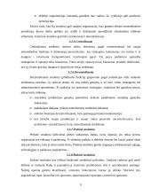 Organizacinių valdymo struktūrų pritaikymas šiuolaikinio verslo poreikiams 8 puslapis