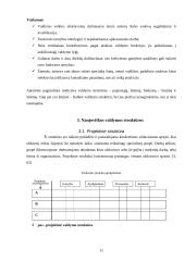 Organizacinių valdymo struktūrų pritaikymas dabartinio verslo poreikiams 10 puslapis