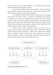 Organizacinių valdymo struktūrų pritaikymas dabartinio verslo poreikiams 13 puslapis