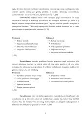 Organizacinių valdymo struktūrų pritaikymas dabartinio verslo poreikiams 4 puslapis