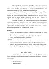 Organizacinių valdymo struktūrų pritaikymas dabartinio verslo poreikiams 8 puslapis