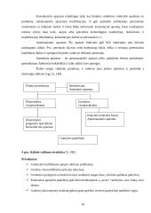 Organizacinių valdymo struktūrų pritaikymas dabartinio verslo poreikiams 9 puslapis