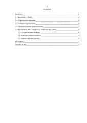 Organizavimo samprata ir valdymo struktūros 2 puslapis