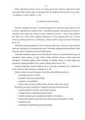 Organizavimo samprata ir valdymo struktūros 11 puslapis