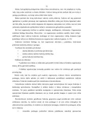 Organizavimo samprata ir valdymo struktūros 12 puslapis