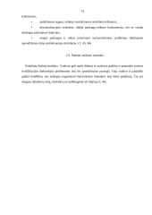 Organizavimo samprata ir valdymo struktūros 13 puslapis