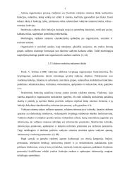 Organizavimo samprata ir valdymo struktūros 7 puslapis