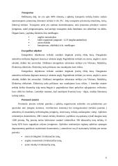 Oro ir vandens tarša 6 puslapis