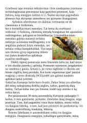 Oro taršos globalinė problema  4 puslapis