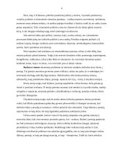 Pagyvenusių žmonių socialinės padėties pokyčiai 6 puslapis