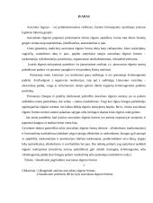 Pagrindinės asocialaus elgesio formos 3 puslapis