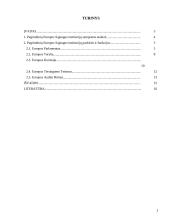 Pagrindinės institucijos Europos Sąjungoje 2 puslapis