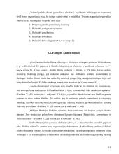 Pagrindinės institucijos Europos Sąjungoje 13 puslapis