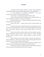 Pagrindinės institucijos Europos Sąjungoje 15 puslapis