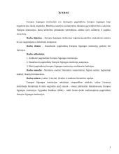 Pagrindinės institucijos Europos Sąjungoje 3 puslapis