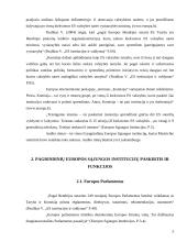 Pagrindinės institucijos Europos Sąjungoje 5 puslapis
