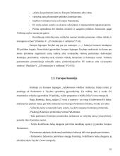 Pagrindinės institucijos Europos Sąjungoje 10 puslapis