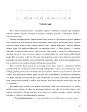 Pagrindiniai makroekonominiai Lietuvos rodikliai 12 puslapis