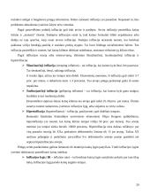 Pagrindiniai makroekonominiai Lietuvos rodikliai 20 puslapis