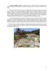 Pajūrio regioninio parko teritorijos rekreacijos ir turizmo išteklių analizė 2 puslapis