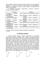 Paklausos ir pasiūlos pusiausvyra ir elastingumas 15 puslapis