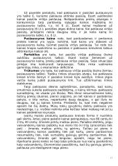 Paklausos ir pasiūlos pusiausvyra ir elastingumas 17 puslapis