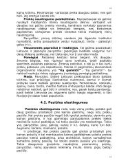 Paklausos ir pasiūlos pusiausvyra ir elastingumas 19 puslapis