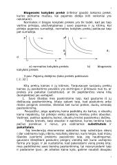 Paklausos ir pasiūlos pusiausvyra ir elastingumas 7 puslapis