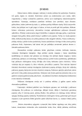 Paklausos elastingumas bei elastingumo teorijos praktinis naudojimas 2 puslapis