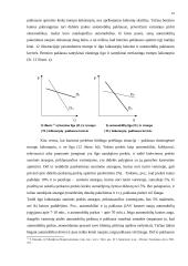 Paklausos elastingumas bei elastingumo teorijos praktinis naudojimas 15 puslapis
