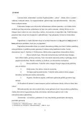 Paklausos ir pasiūlos elastingumas kainų atžvilgiu 2 puslapis